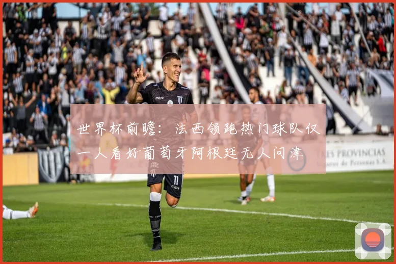世界杯前瞻：法西领跑热门球队仅一人看好葡萄牙阿根廷无人问津