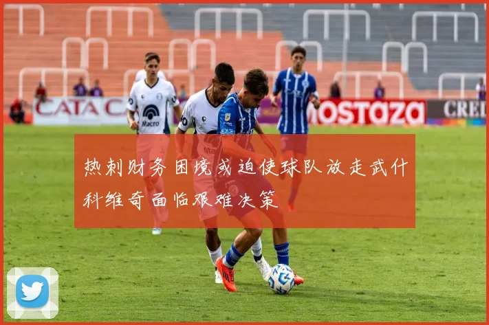 热刺财务困境或迫使球队放走武什科维奇面临艰难决策